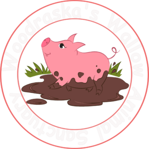 Woodraska's Wallow Animal Sanctuary serving animals in need